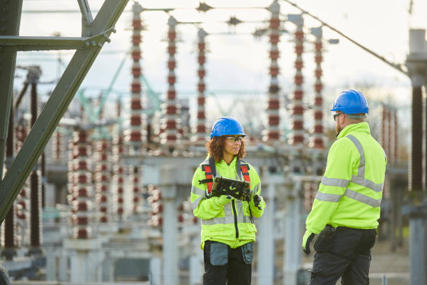 Best Electrical System Inspection  in Palmyra, MO