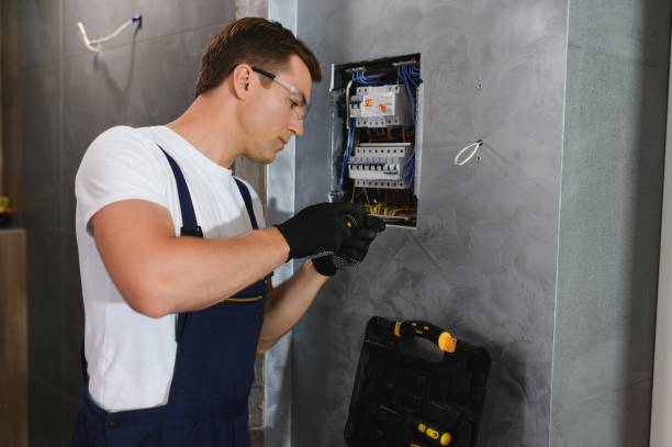 Best Electric Panel Repair  in Palmyra, MO